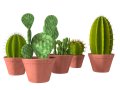 Potted cactus collection 3D Модель