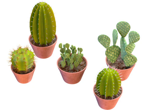 화분에 심은 선인장 컬렉션 3D 모델