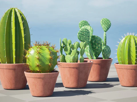화분에 심은 선인장 컬렉션 3D 모델