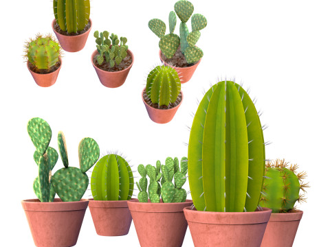 Potted cactus collection 3D Модель