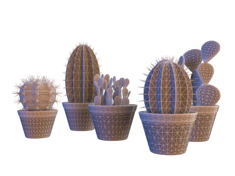 화분에 심은 선인장 컬렉션 3D 모델