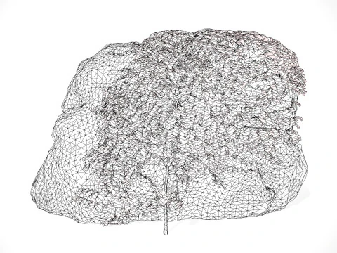 Parthenocissus Ivy on Rock 3D Model