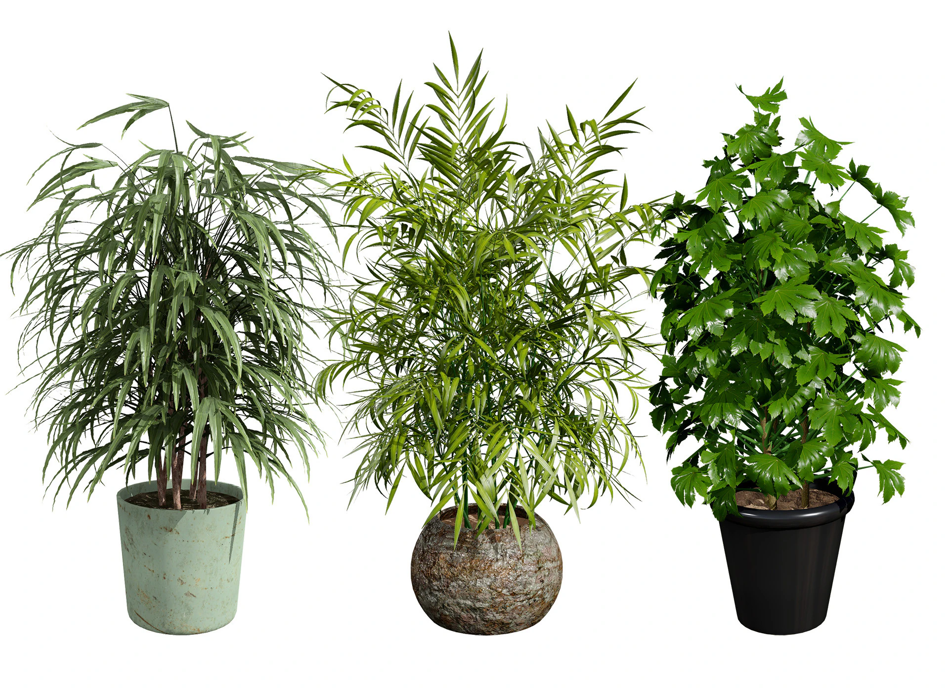 Modelli in vaso di palme Modello 3D .c4d .max .obj .3ds .fbx .stl .blend 