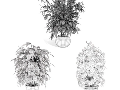 Modelli in vaso di palme Modello 3D