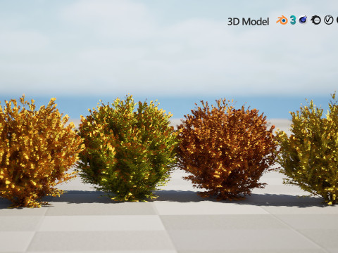 Fire Chief Arborvitae Modello 3D