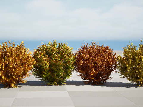 Fire Chief Arborvitae Modello 3D