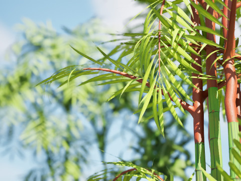 Indoor Palm Collection 3D Model