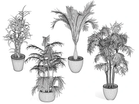 Cole&ccedil;&atilde;o de palmeiras internas Modelo 3D