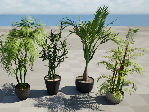 Cole&ccedil;&atilde;o de palmeiras internas Modelo 3D