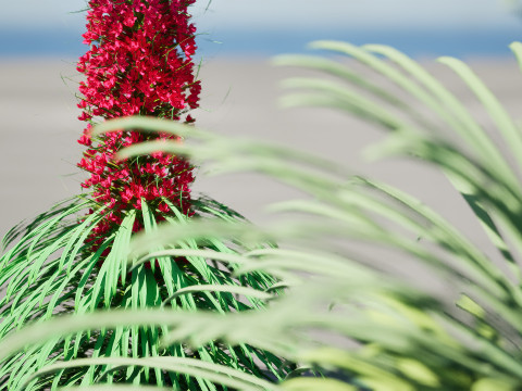 Towers of Jewels 3D Model