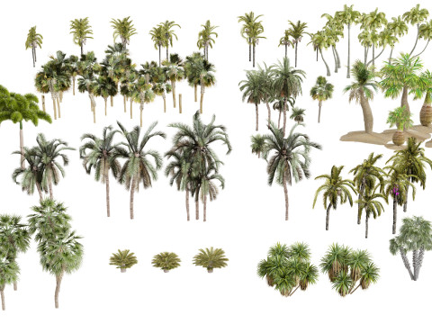Outdoor Palms 3d Pack 3D Модель
