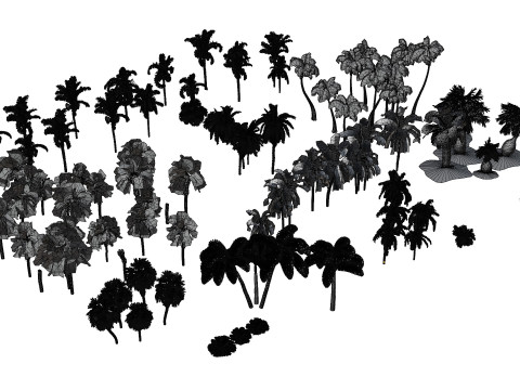 Outdoor Palms 3d Pack 3D Модель