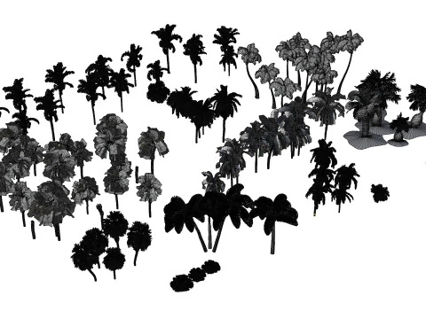 Pacchetto 3D di palme da esterno Modello 3D