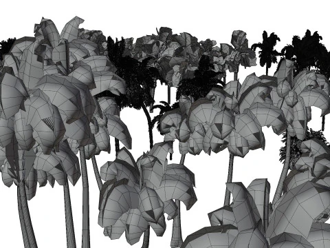 Pacchetto 3D di palme da esterno Modello 3D
