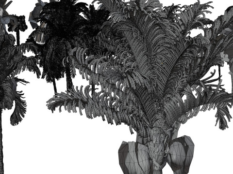 Outdoor Palms 3d Pack 3D Модель