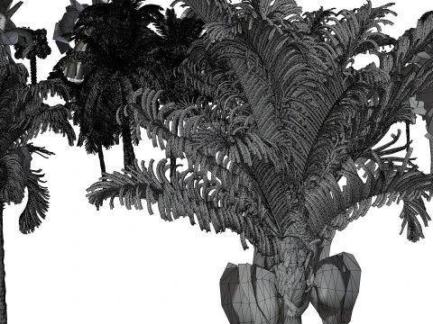 Pacchetto 3D di palme da esterno Modello 3D