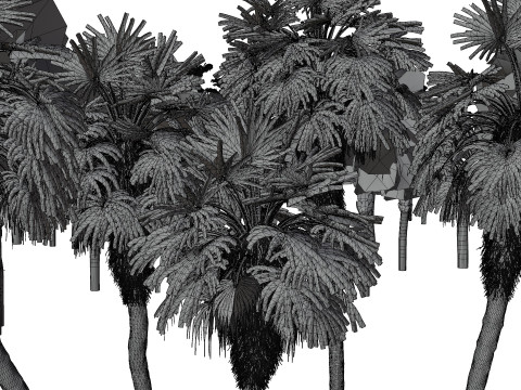 Outdoor Palms 3d Pack 3D Модель