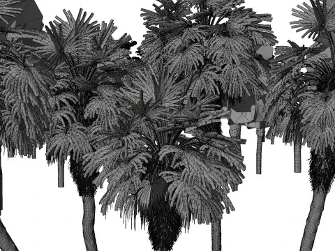 Pacchetto 3D di palme da esterno Modello 3D