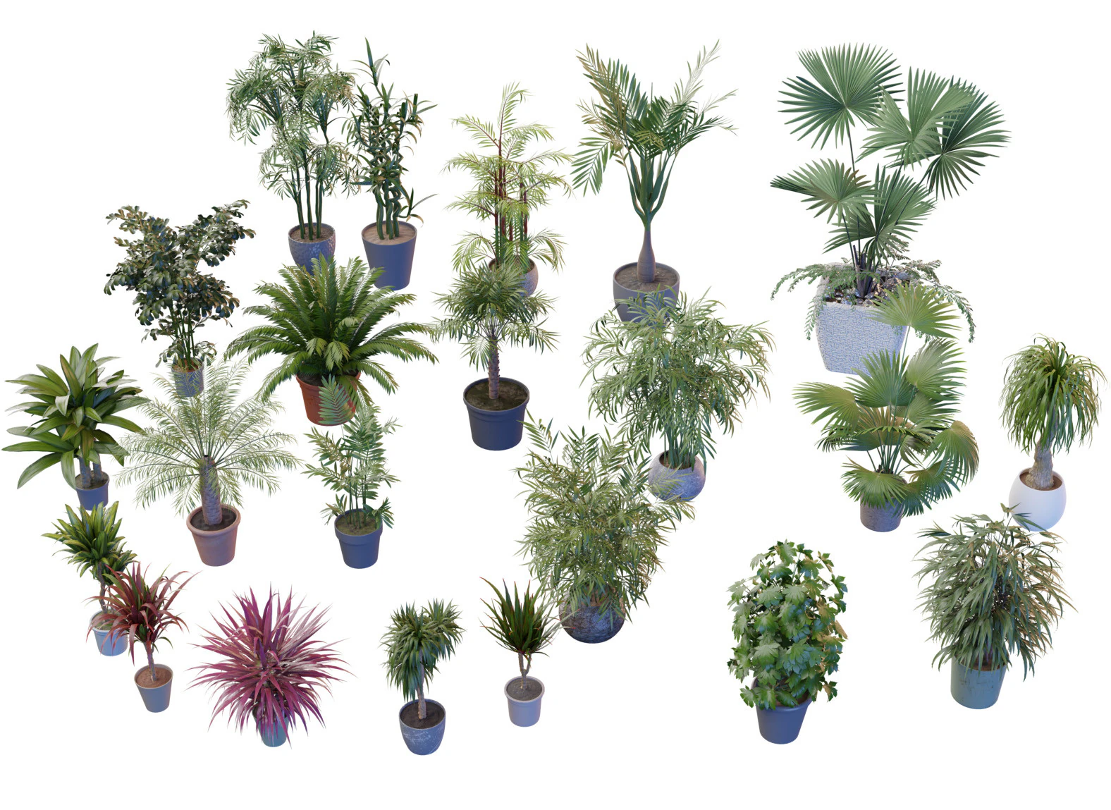 Indoor potted palms collection 3D Model .c4d .max .obj .3ds .fbx .stl .blend 