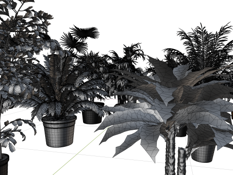 Indoor potted palms collection Modèle 3D