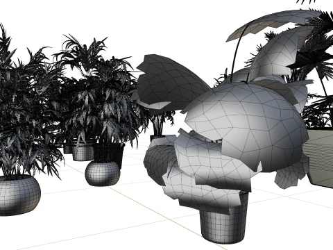 Indoor potted palms collection 3D Model