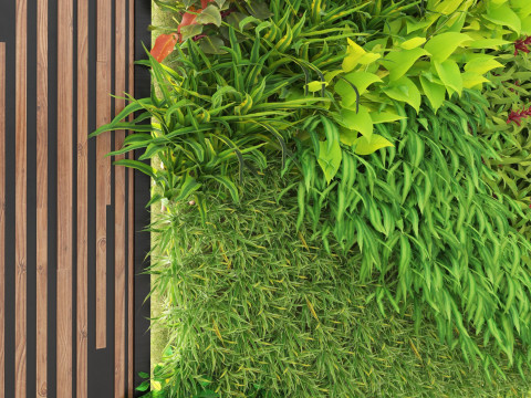 3D Green Wall Collection Modelo 3D