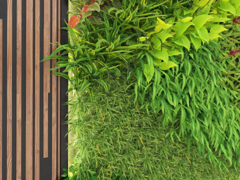 3D Green Wall Collection 3D Model