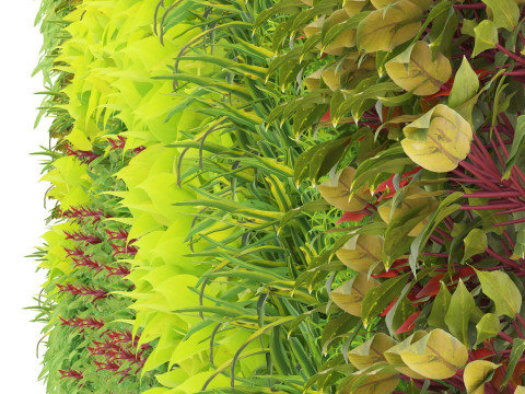 3D Green Wall Collection Modelo 3D
