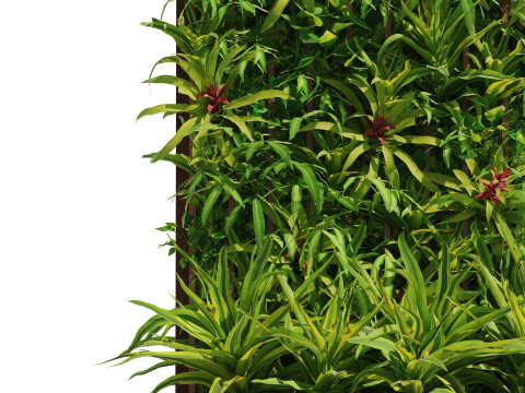 3D Green Wall Collection Modelo 3D