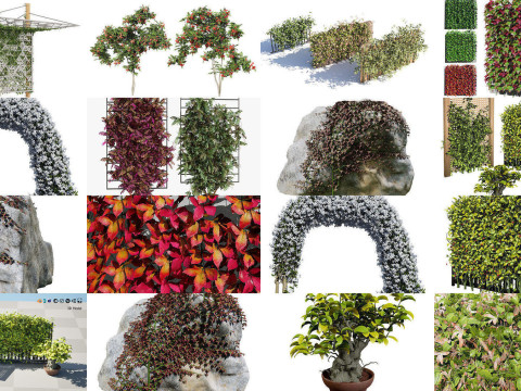 Climbing Ivy Plant 3D Collection 3D मॉडल