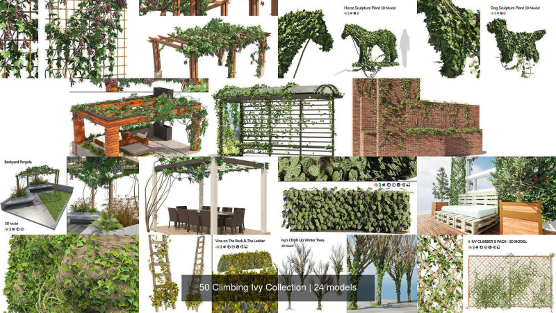 Climbing Ivy Plant 3D Collection 3D मॉडल .c4d .max .obj .3ds .fbx .stl .blend 