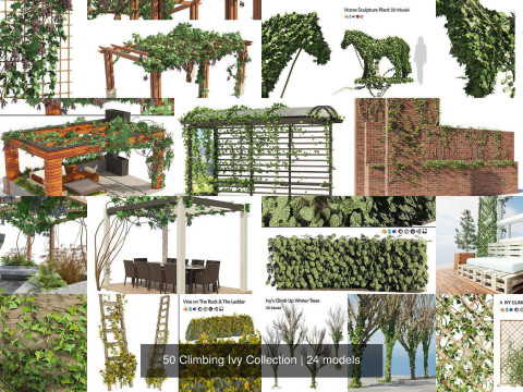Climbing Ivy Plant 3D Collection 3D Модель
