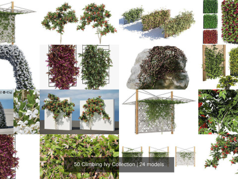 Climbing Ivy Plant 3D Collection 3D मॉडल
