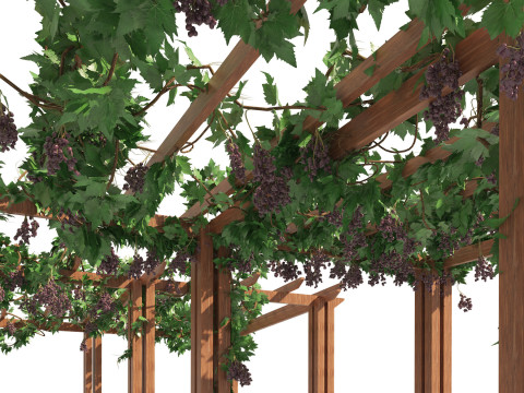 Realistic Pergola 3D Collection 3D 모델
