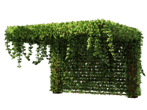 Realistic Pergola 3D Collection 3D 모델
