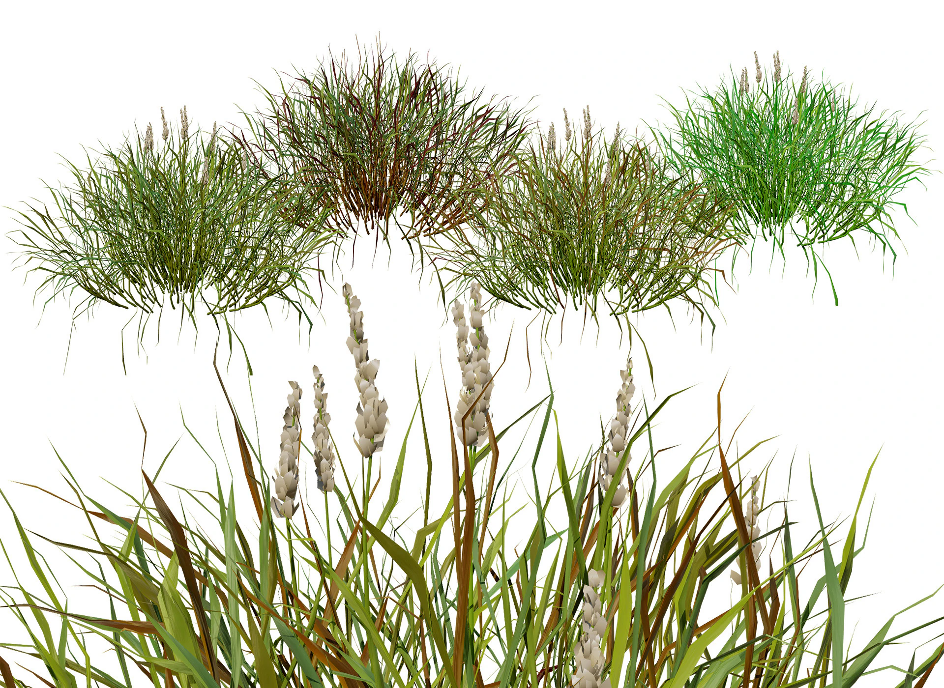 Realistic Grass 3D Model .c4d .max .obj .3ds .fbx .stl .blend 