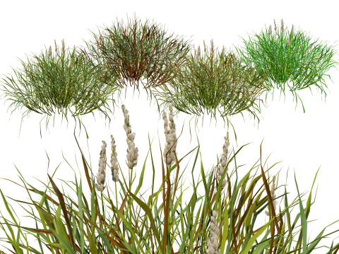Realistic Grass Modello 3D