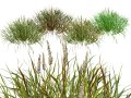 Realistic Grass Modello 3D