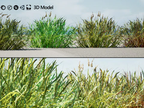 Realistic Grass 3D Model