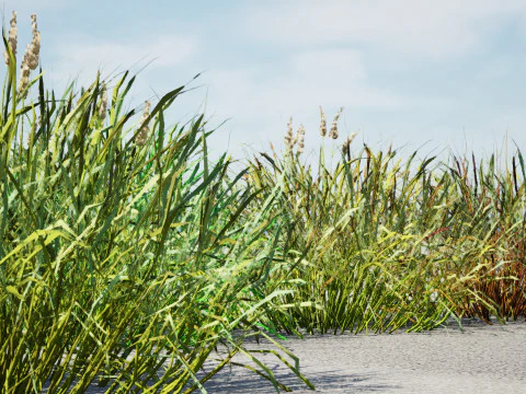 Realistic Grass 3D Model