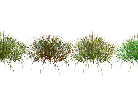 Realistic Grass 3D Model