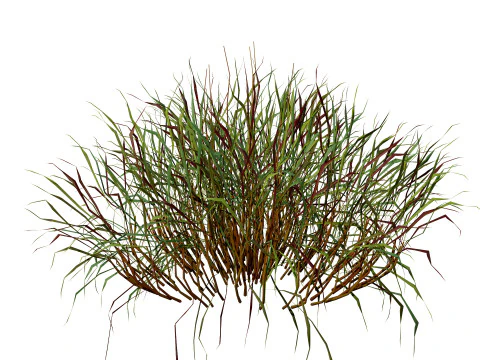 Realistic Grass 3D Model