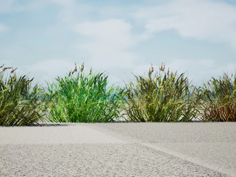 Realistic Grass 3D Model