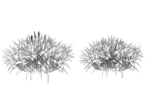 Realistic Grass 3D Model