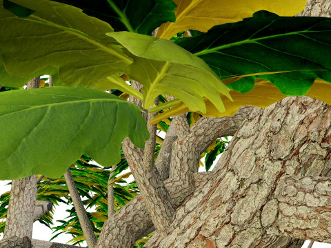 Pohon Segala Musim Model 3D