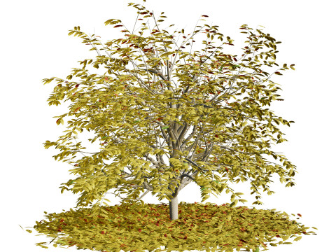 All-Seasons Tree Modelo 3D