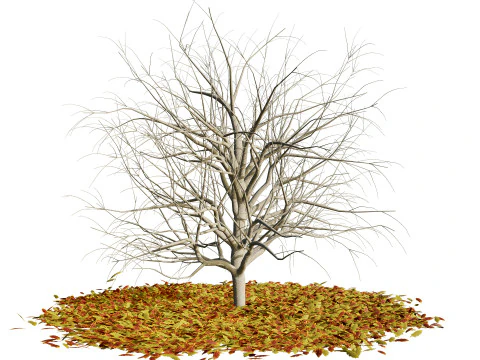 Pohon Segala Musim Model 3D