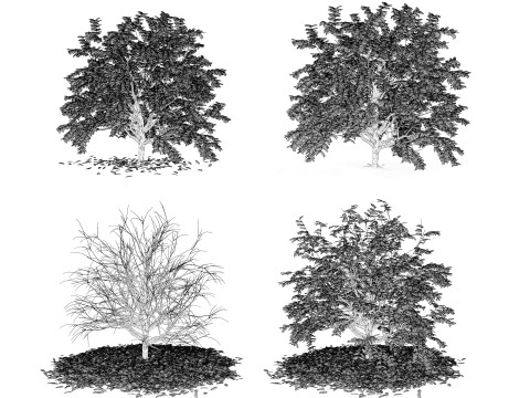All-Seasons Tree Modelo 3D