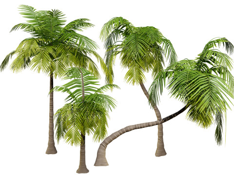 Low-Poly Beach Palms 3Dモデル