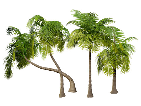 Low-Poly Beach Palms 3D-Modell